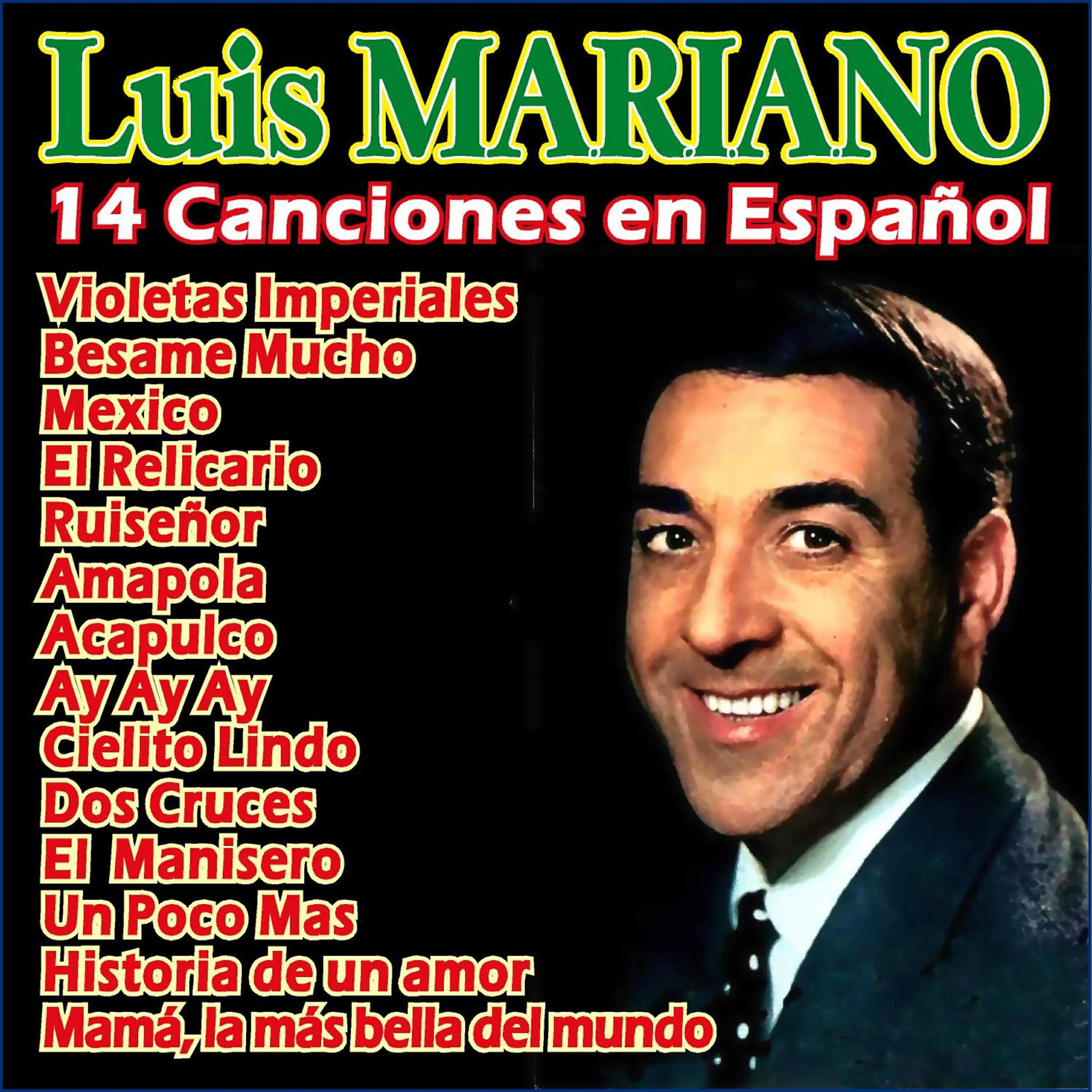 Релиз 14 Canciones en Español