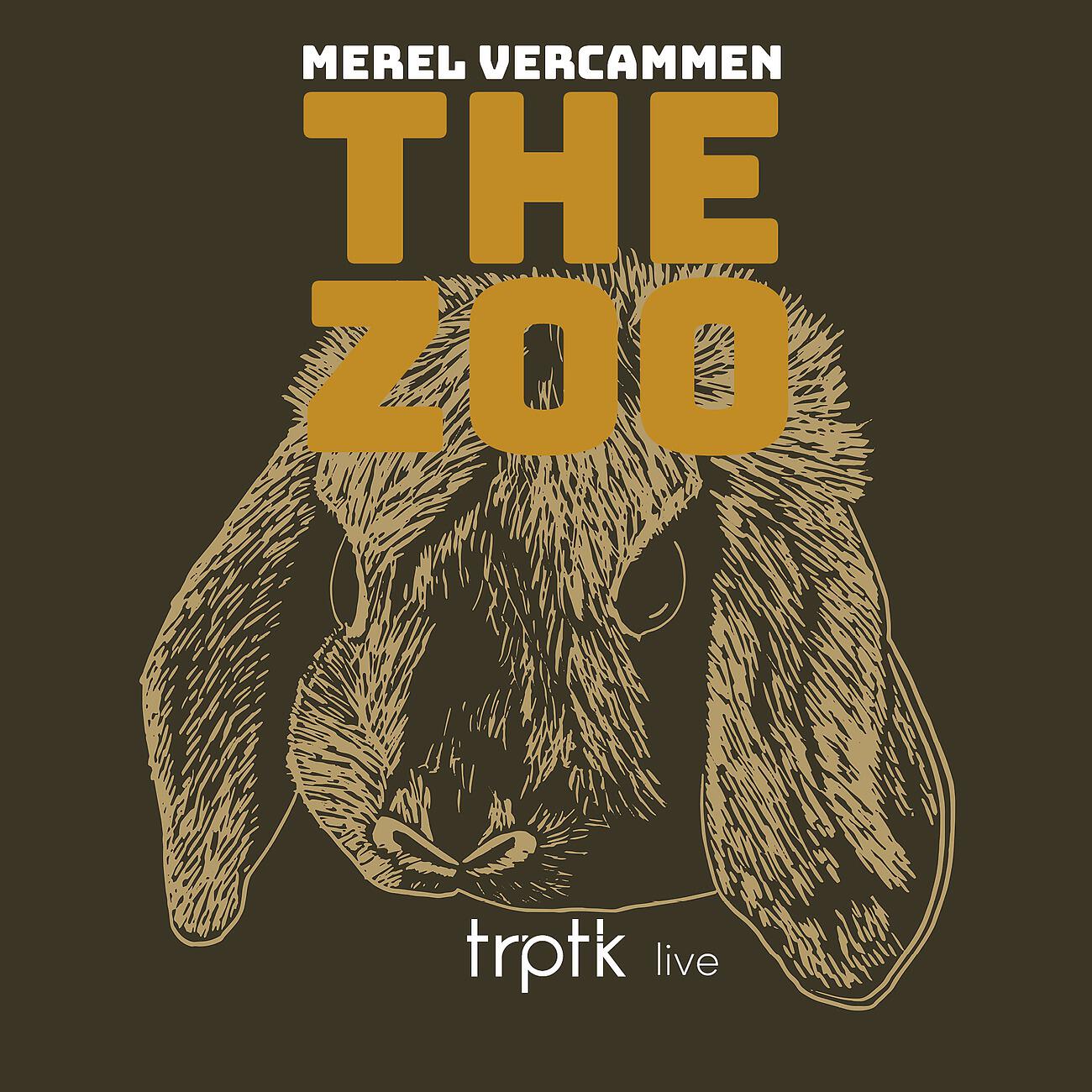 Релиз The Zoo