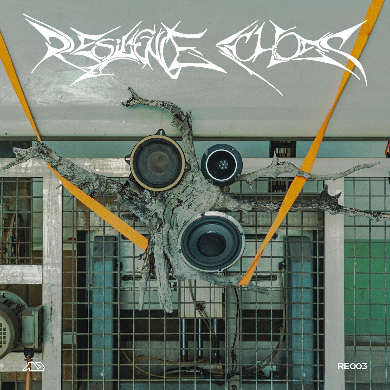 Релиз RESILIENCE ECHOES 003