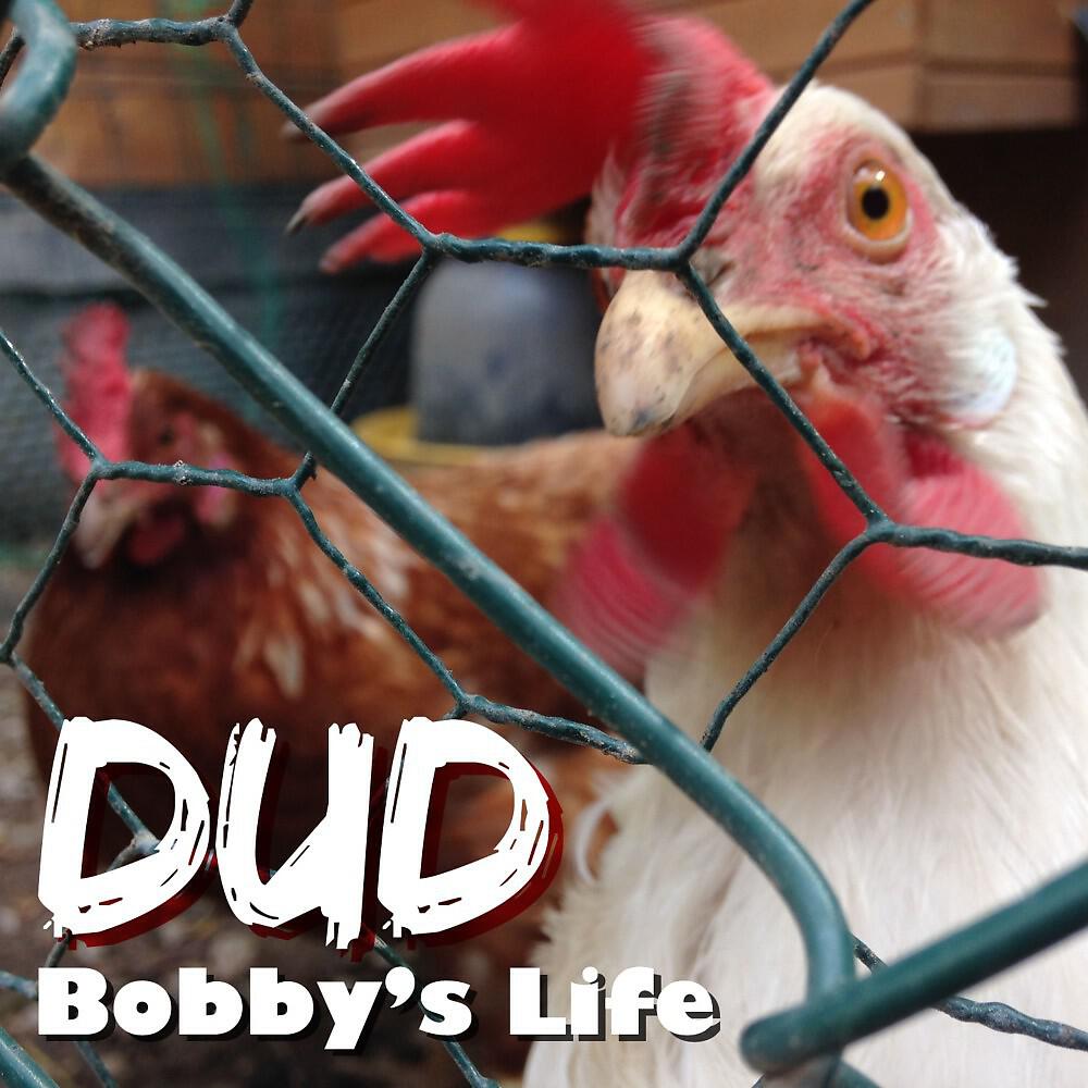 Релиз Bobby's Life
