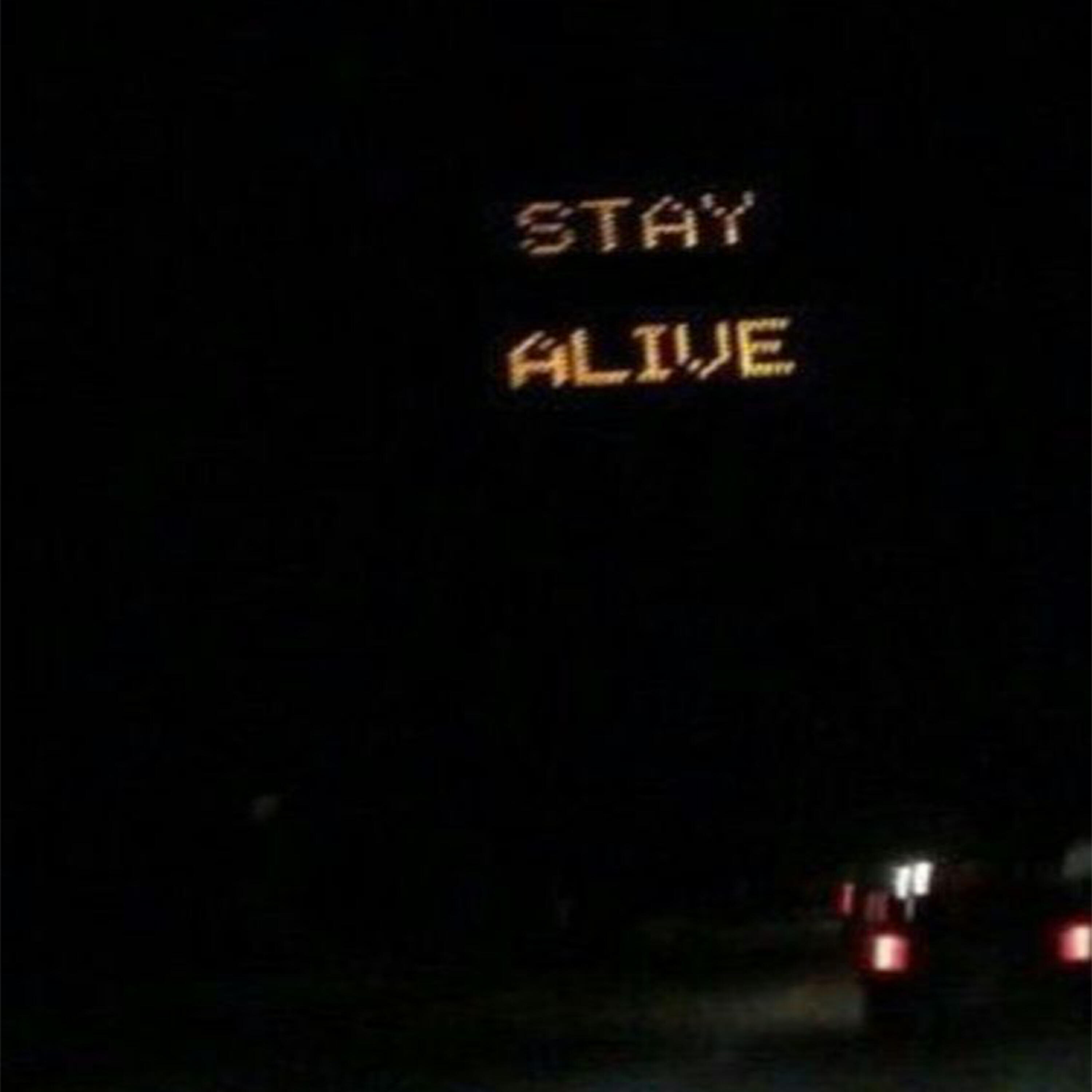 Релиз Stay Alive
