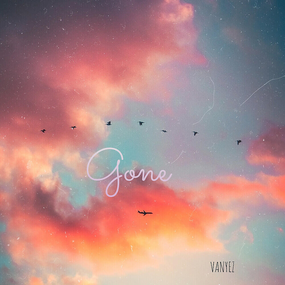 Vanyez