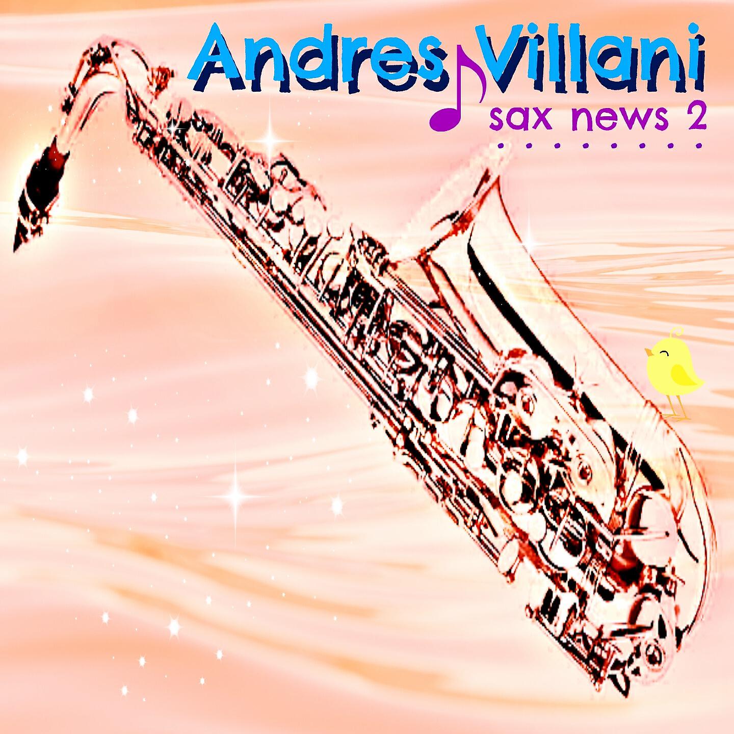 Andres Villani