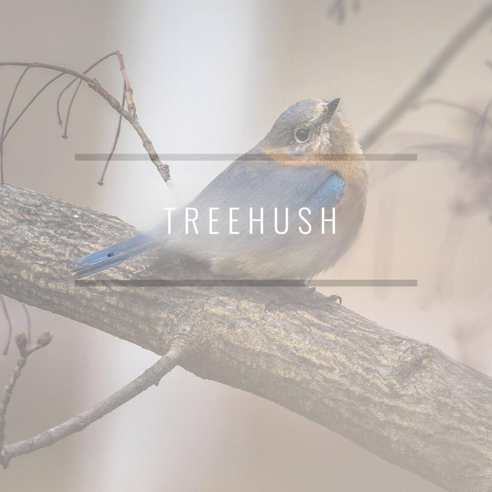 Релиз Treehush