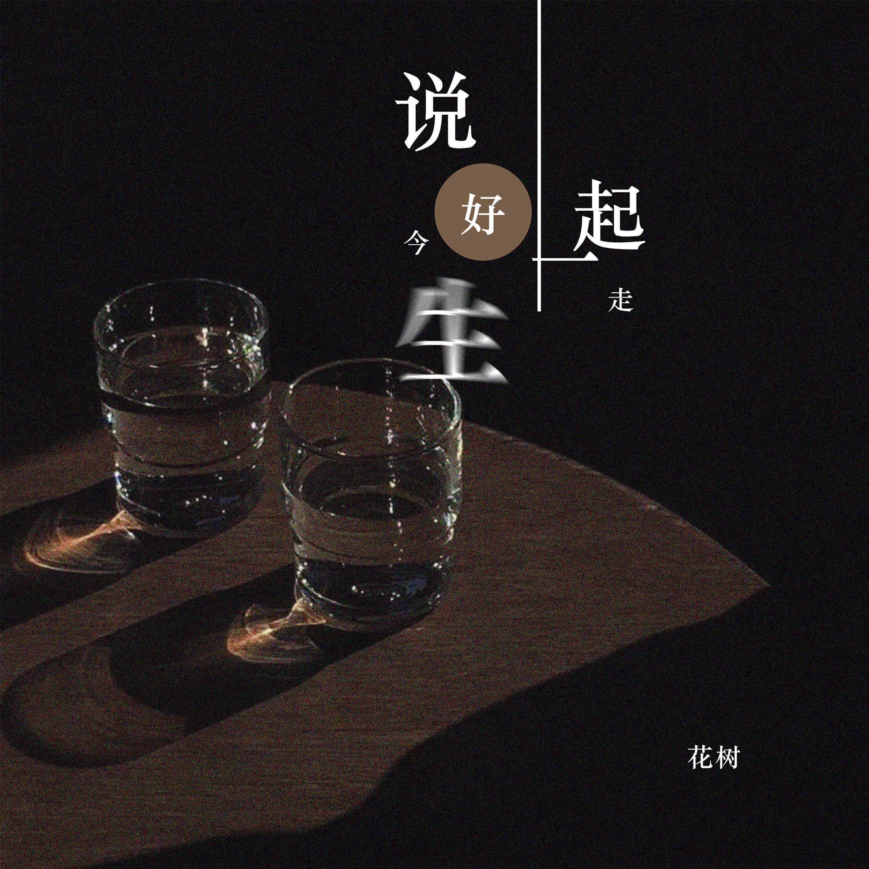 Трек 说好今生一起走 (DJ光音坊版)