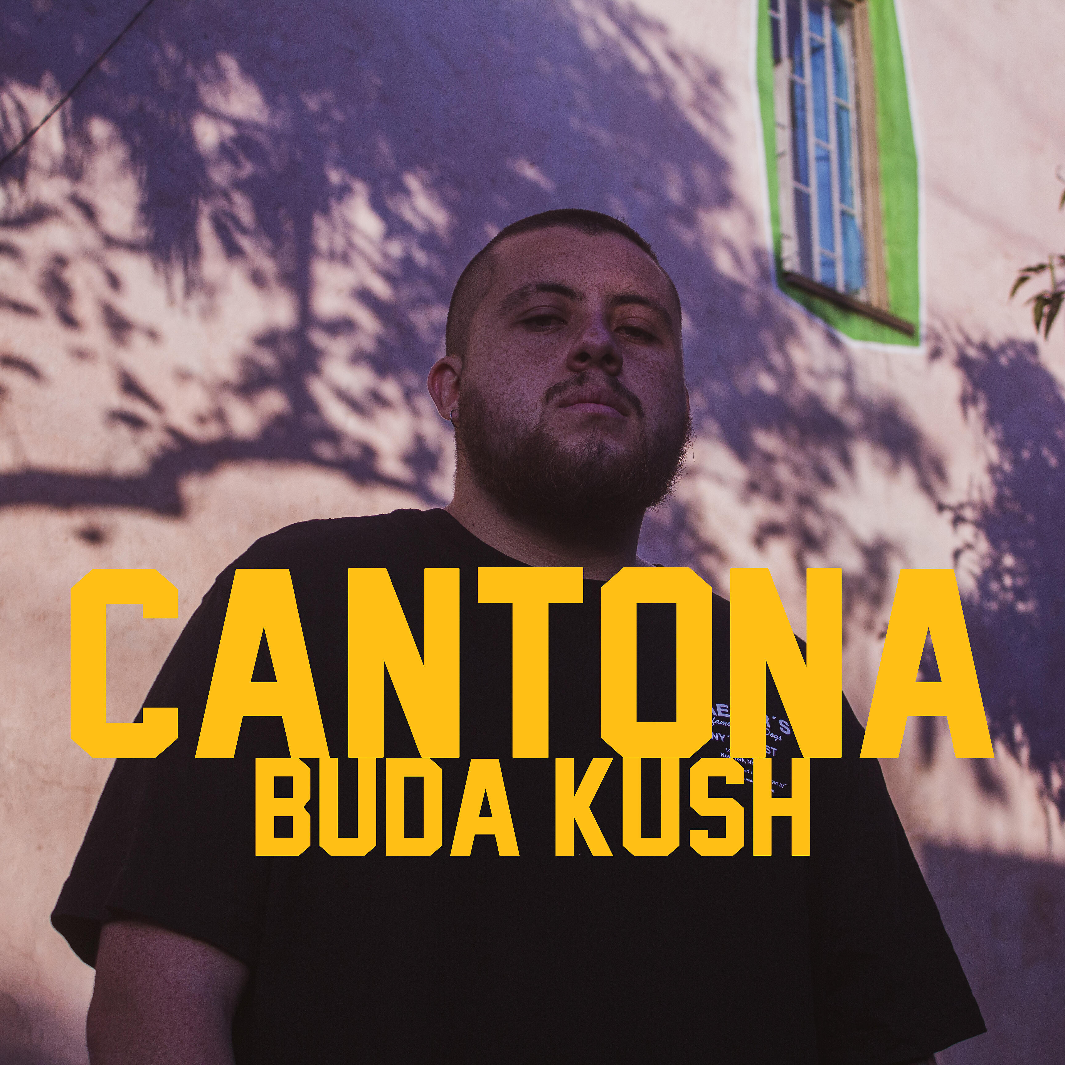 Релиз Cantona