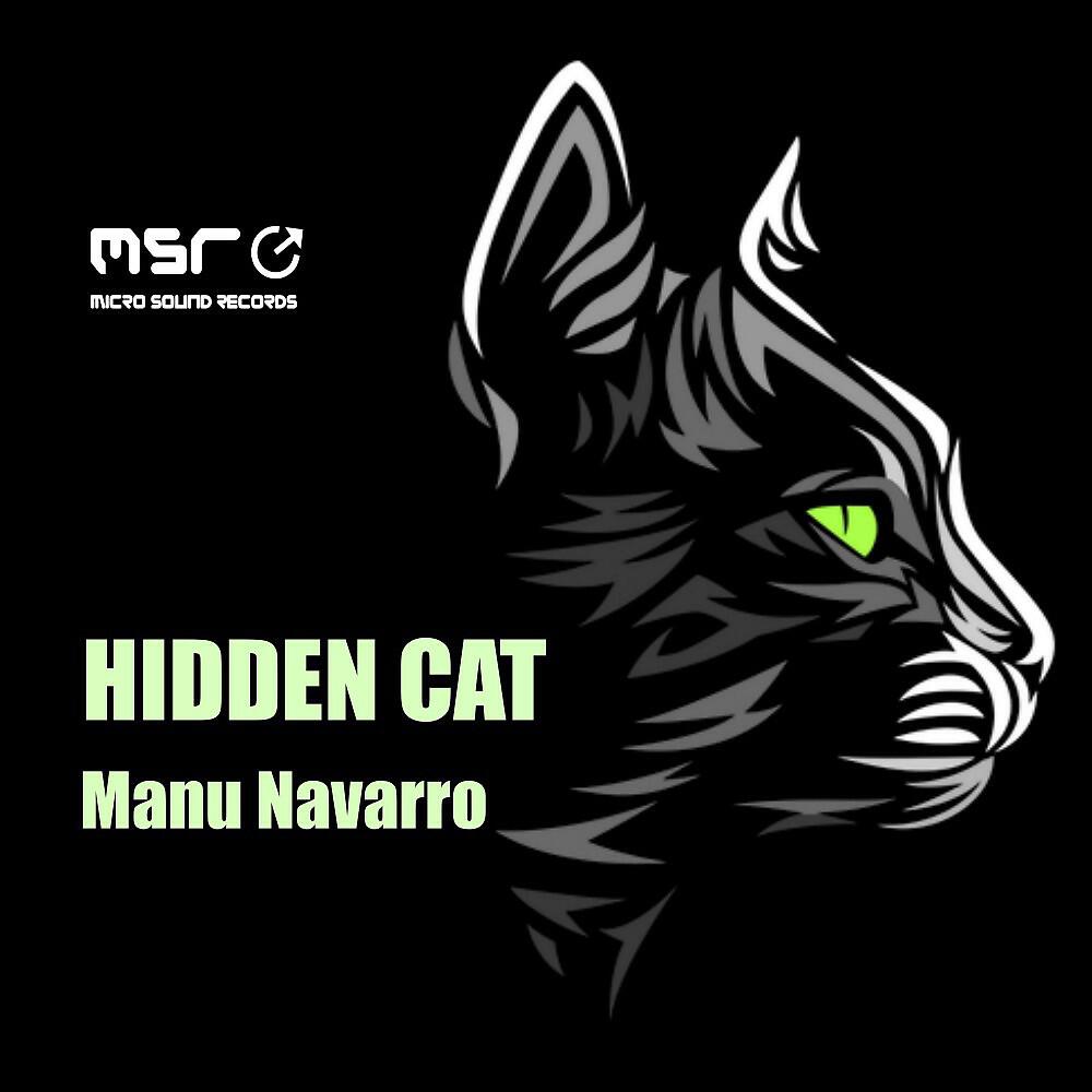 Релиз Hidden Cat
