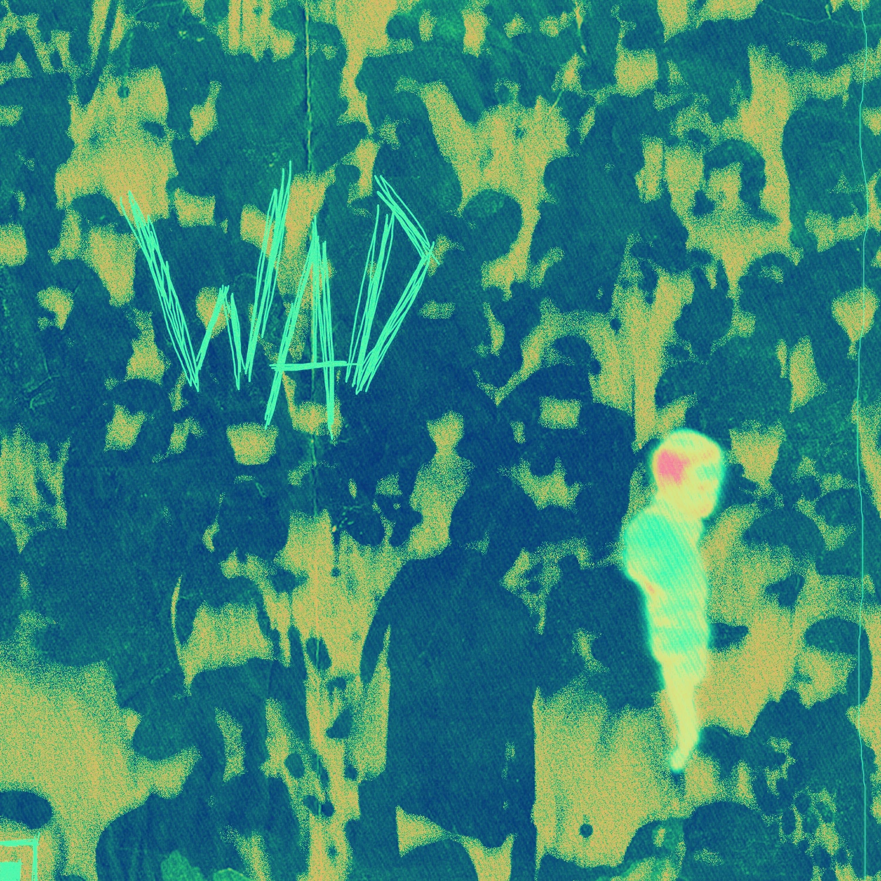 Релиз Wad