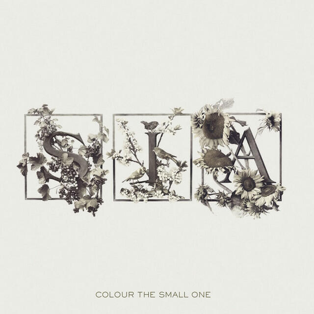 Релиз Colour The Small One