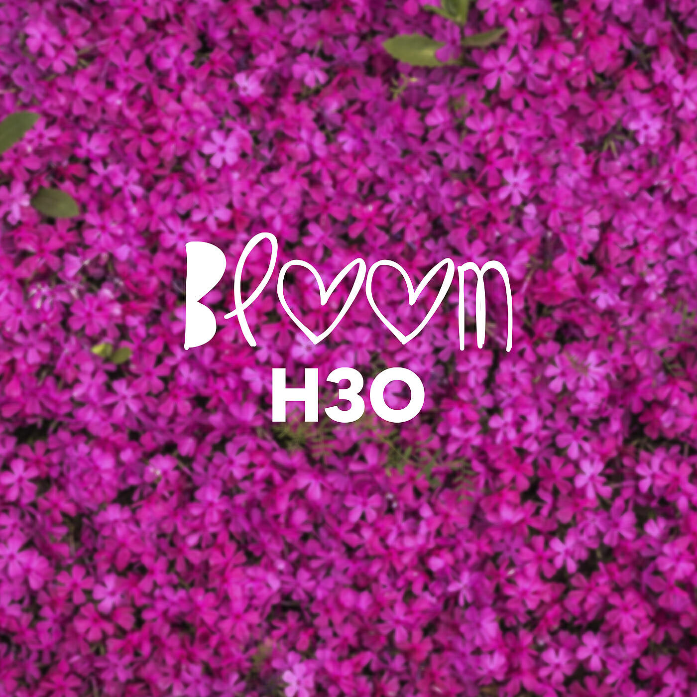 Релиз Bloom