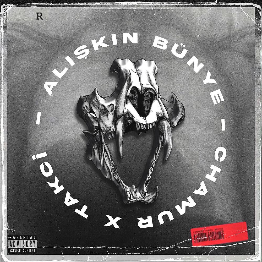 Релиз Alışkın Bünye