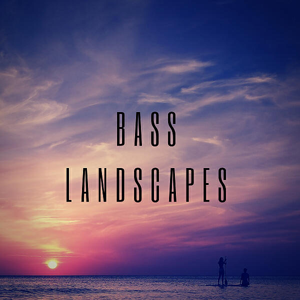 Релиз BASS LANDSCAPES