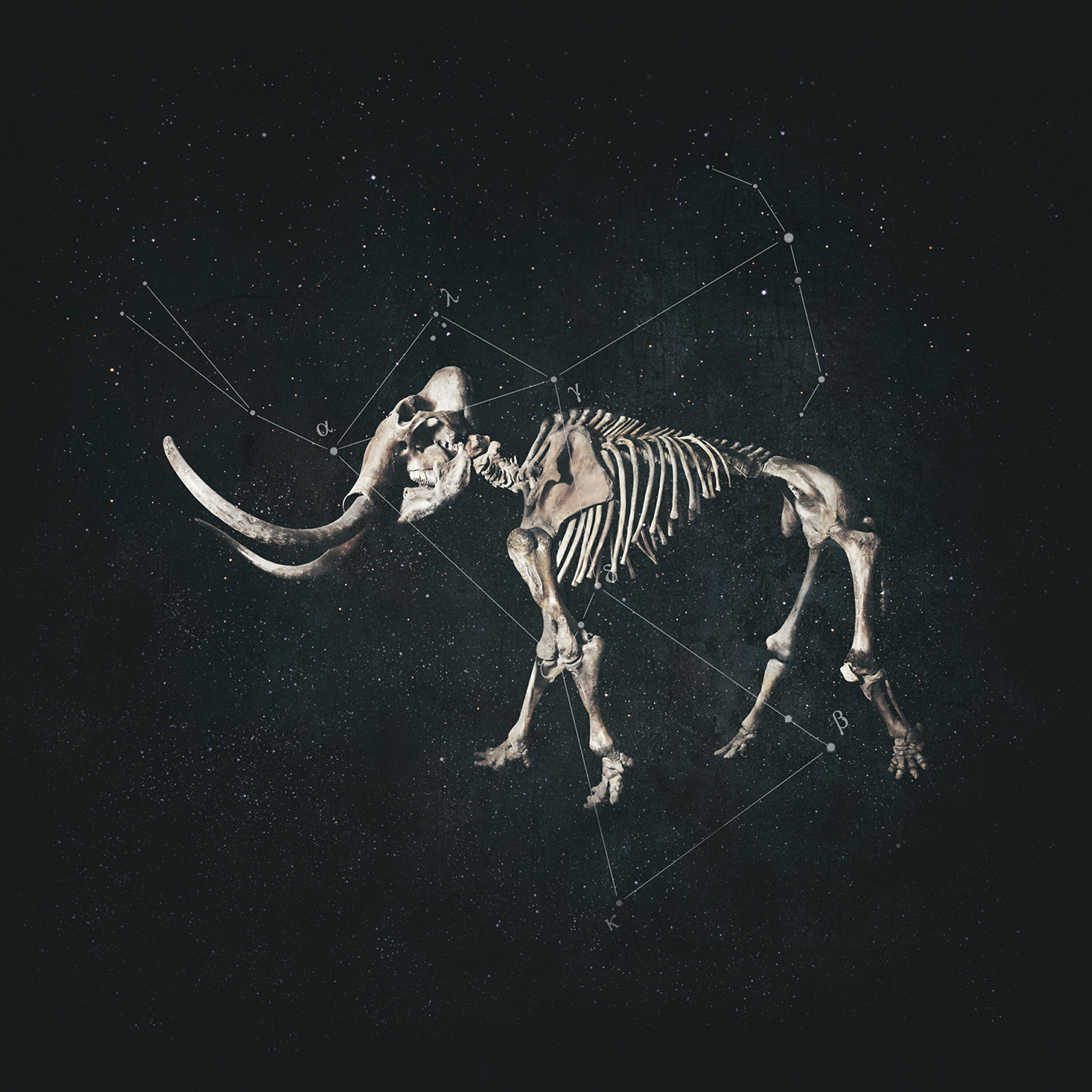Релиз Hannibal (Bonus Track Version)