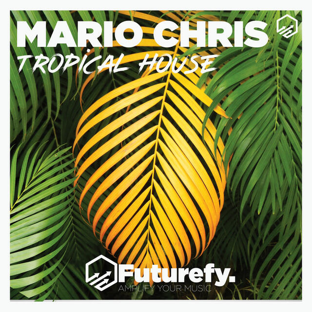 Релиз Tropical House