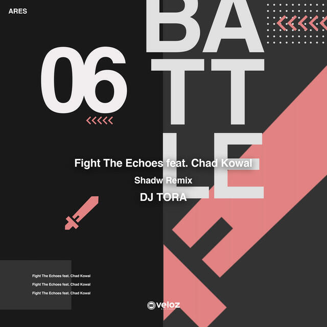 Релиз Fight The Echoes (Shadw Remix)