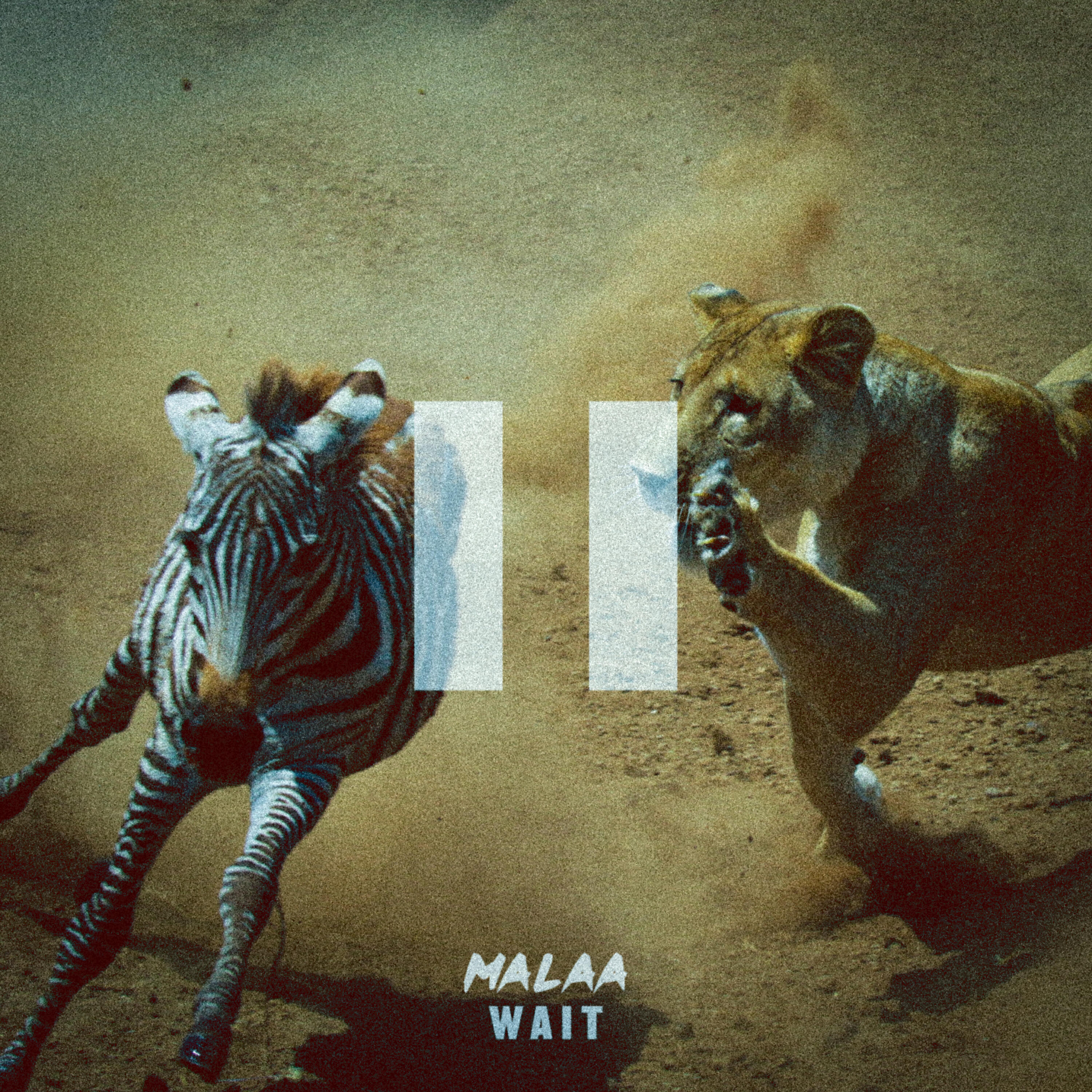 Релиз WAIT