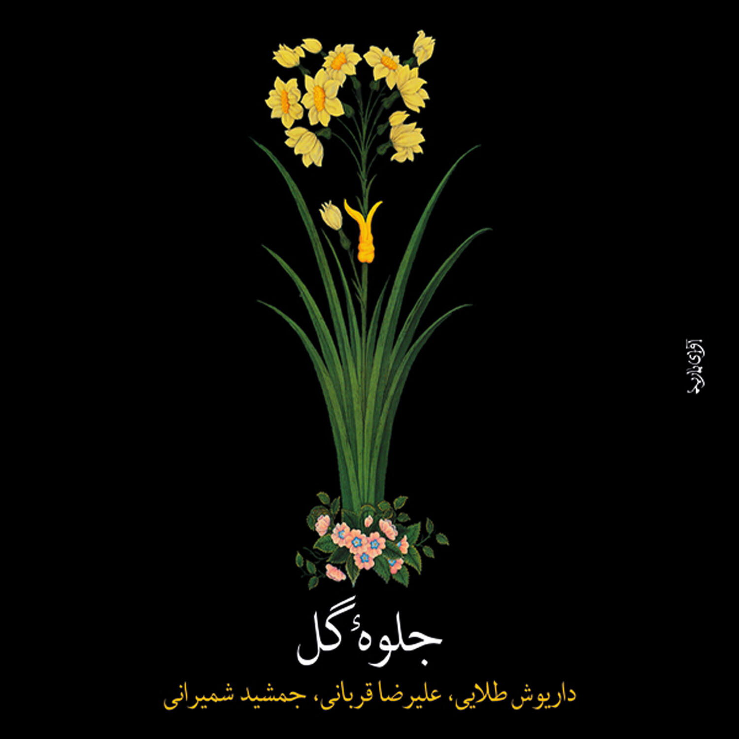 Dariush Tala'i