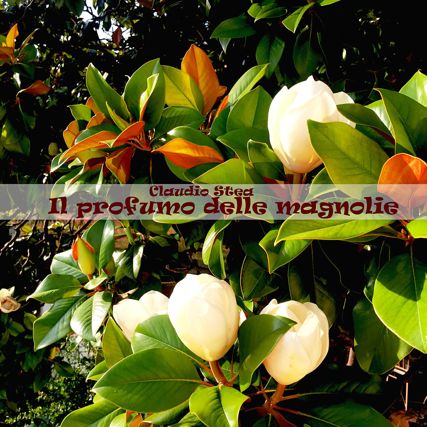 Релиз Il profumo delle magnolie