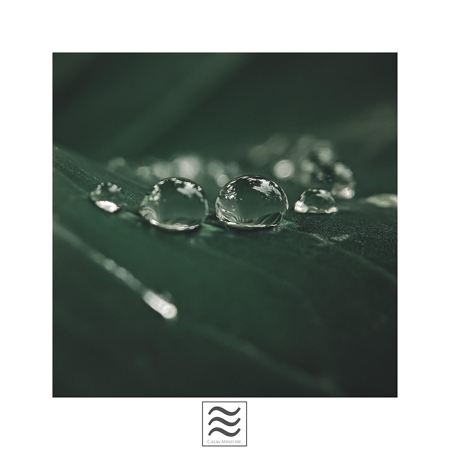 Релиз Ambient of Smooth Rain