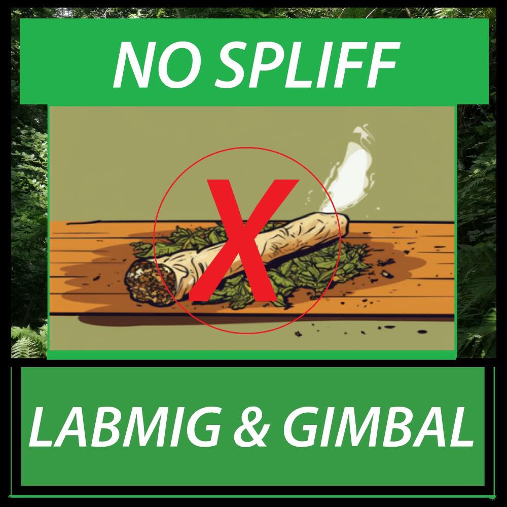 Релиз No Spliff