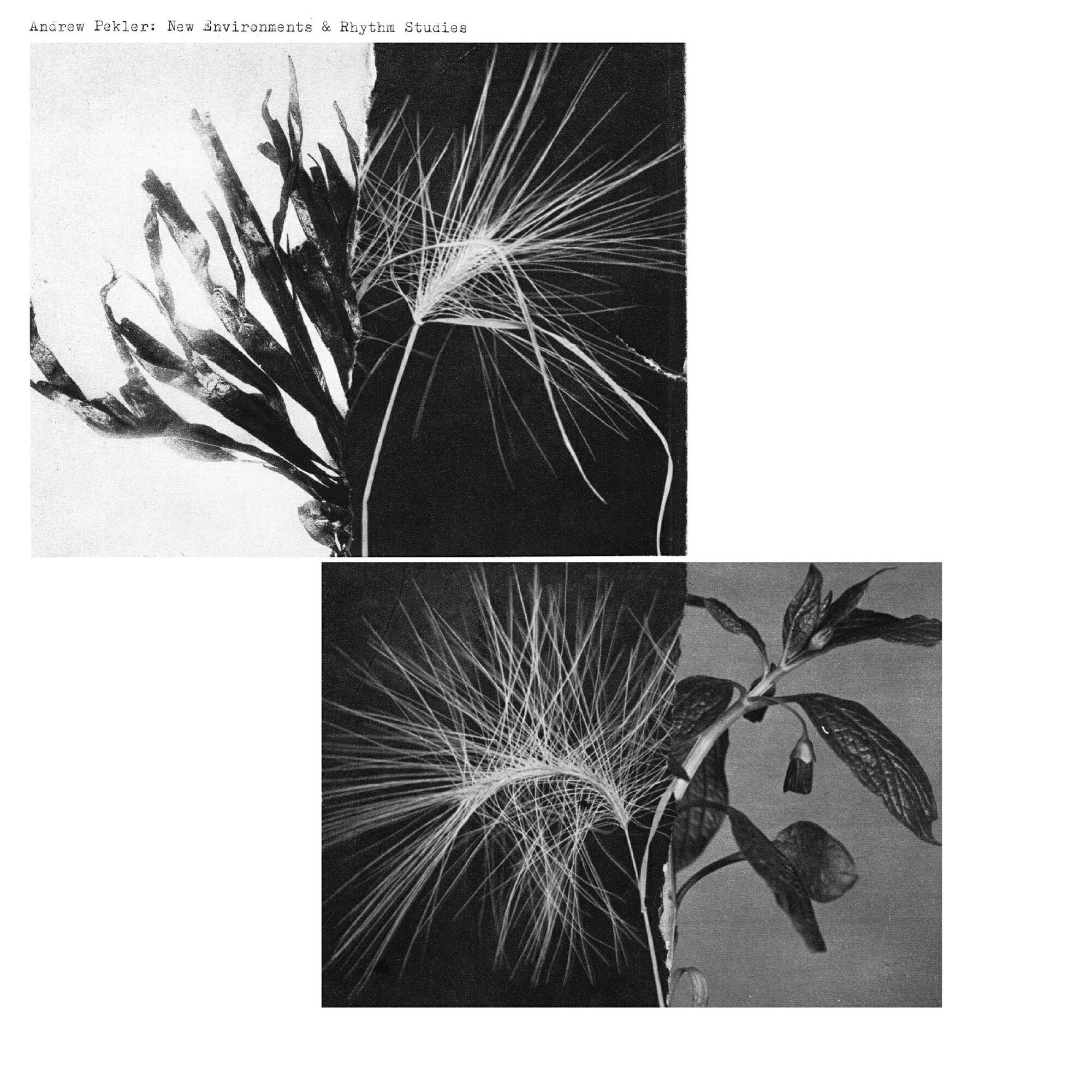 Релиз Fabulation For K