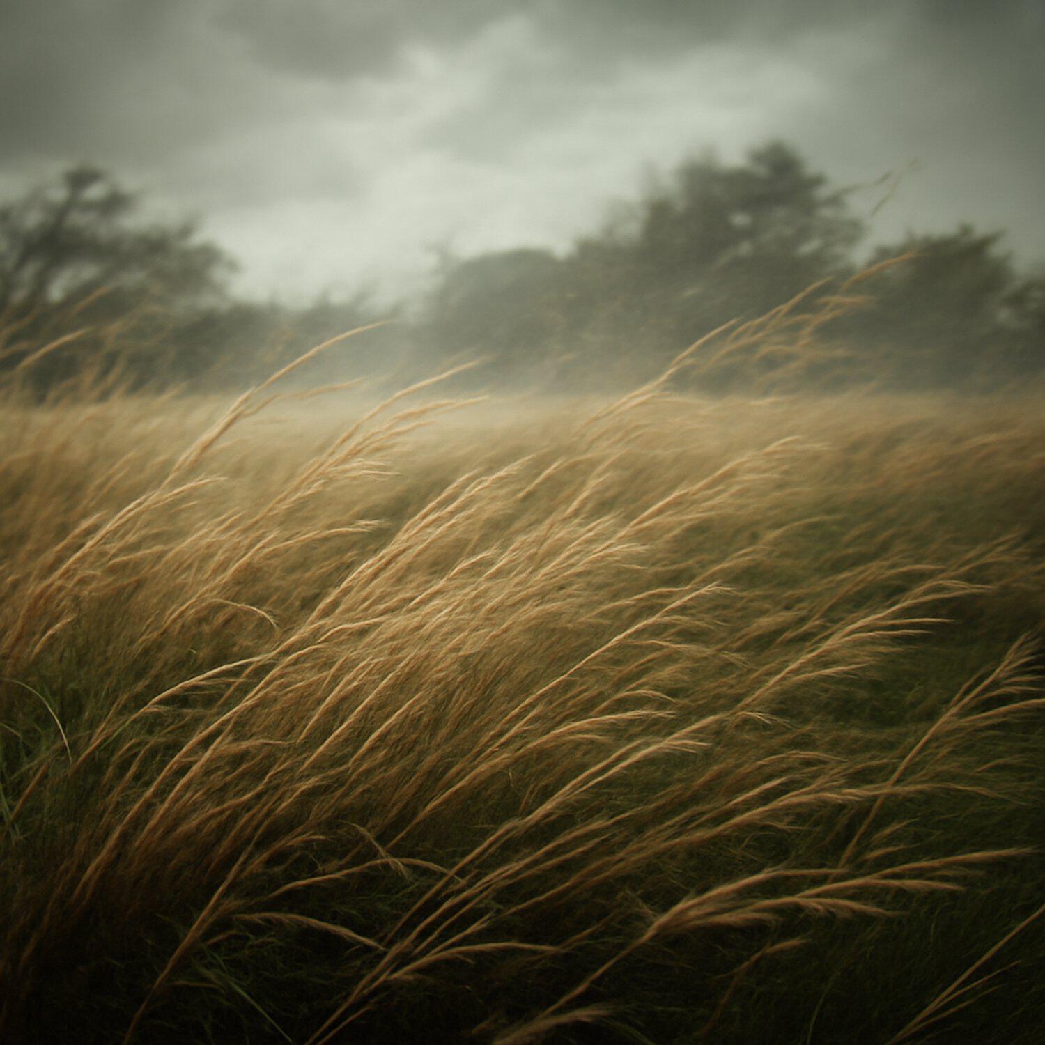Релиз Polar Wind