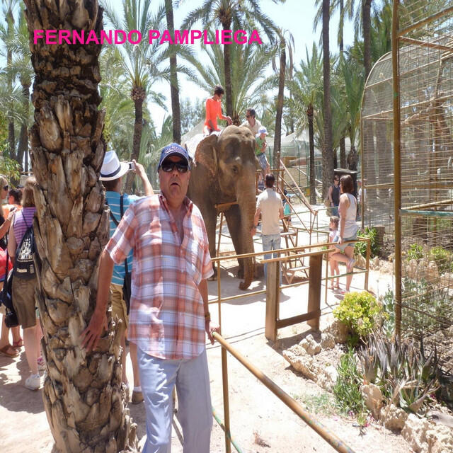 Fernando Pampliega