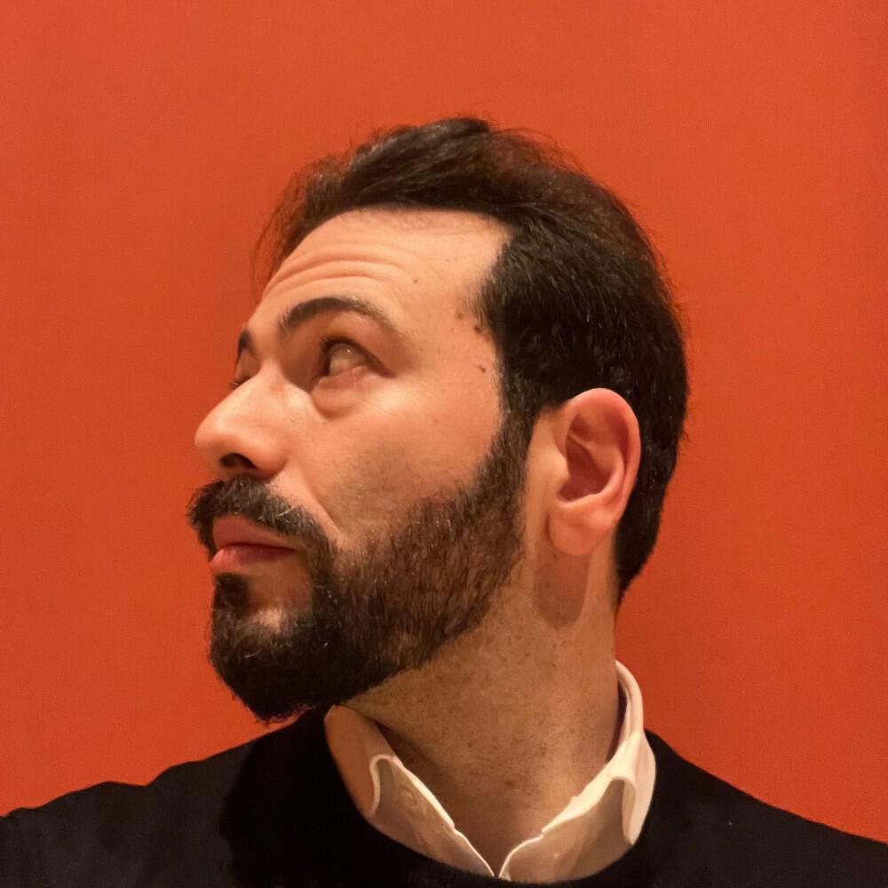 Domenico Vellucci