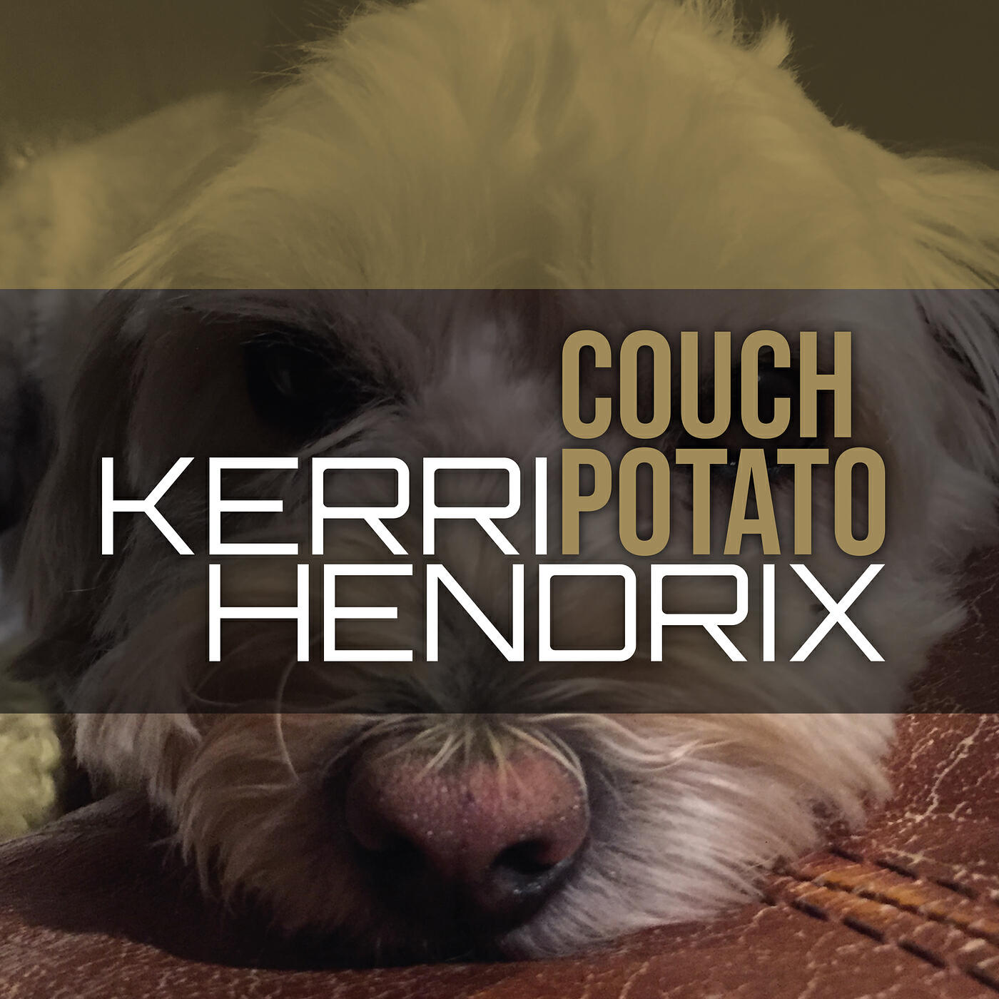 Релиз Couch Potato
