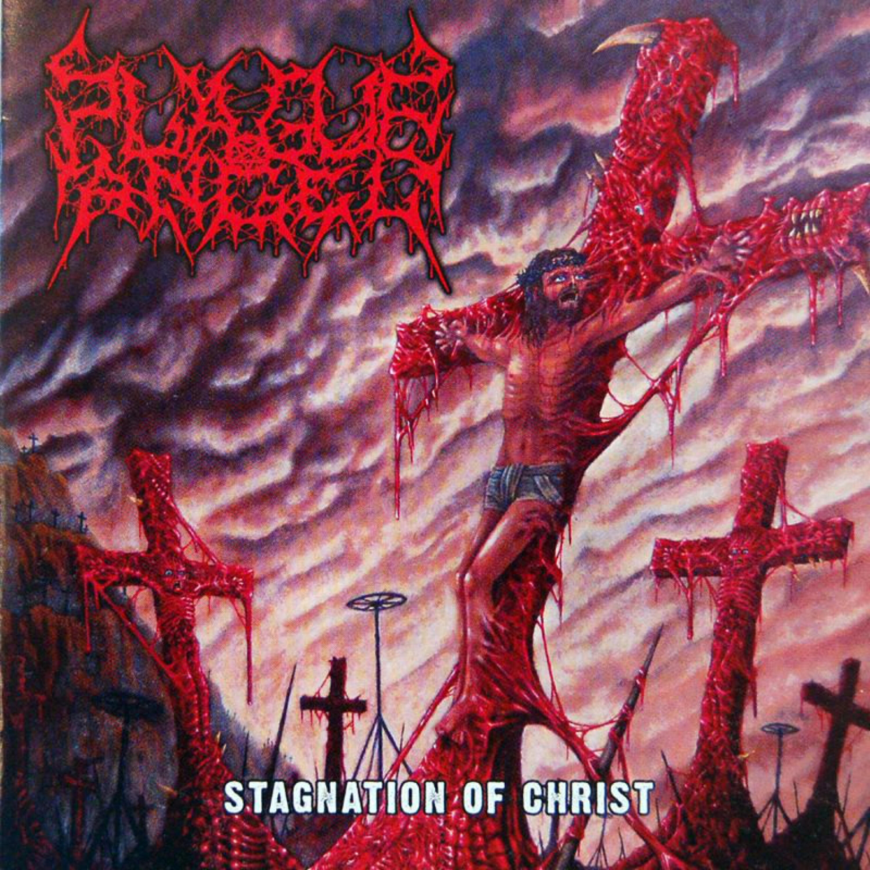 Постер альбома Stagnation of Christ