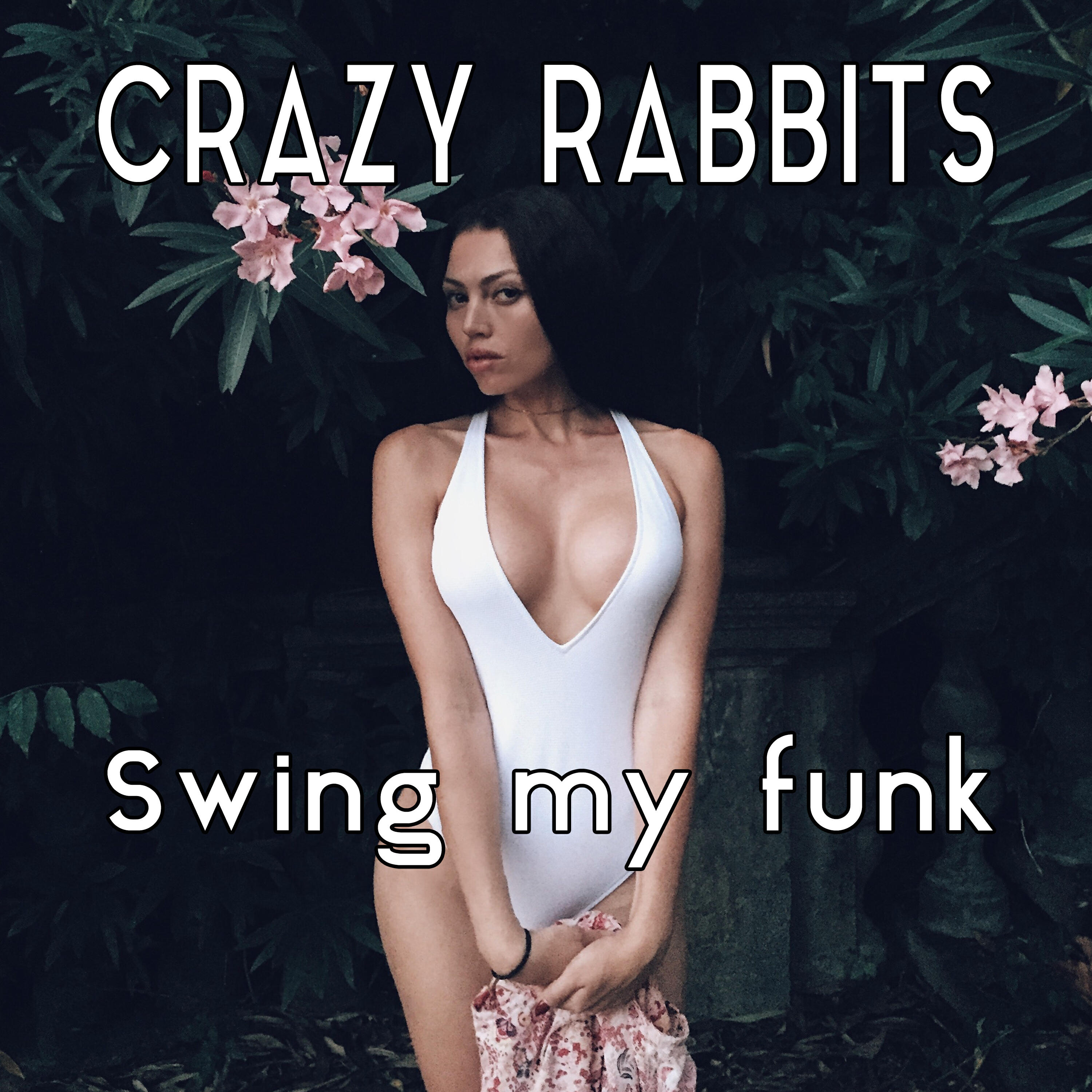 Релиз Swing my Funk