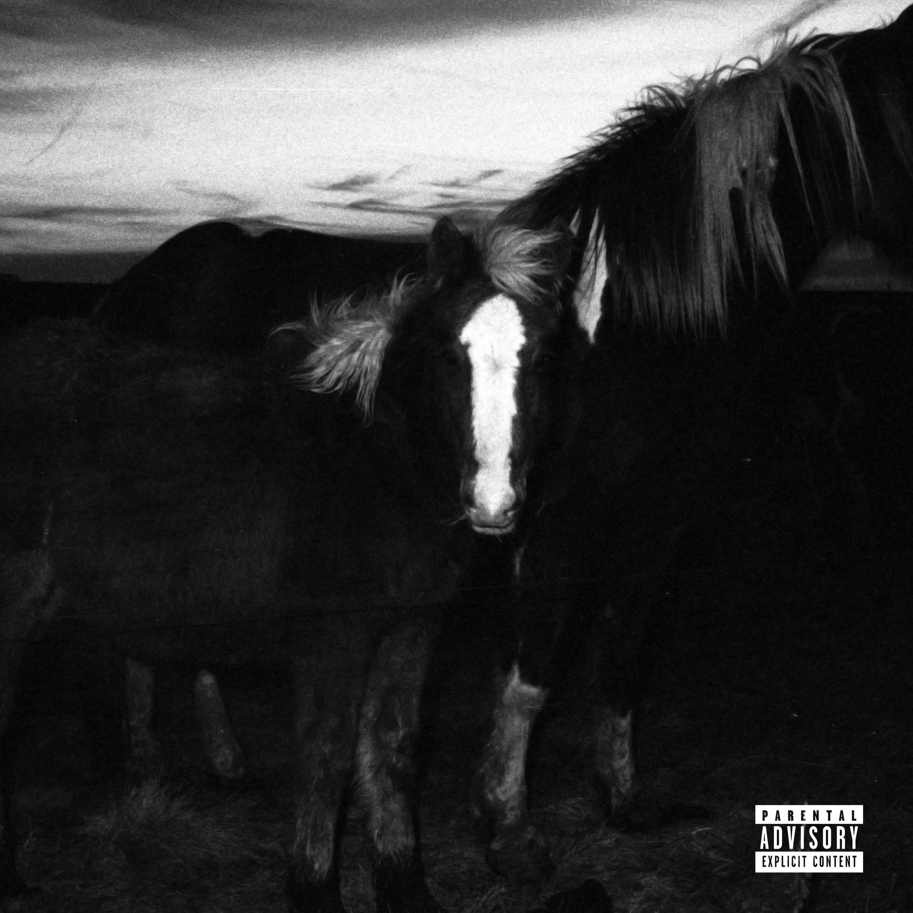 Релиз PONY