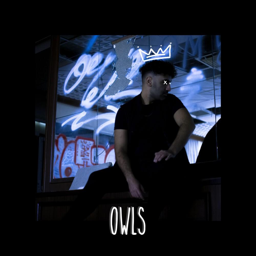 Постер альбома Owls