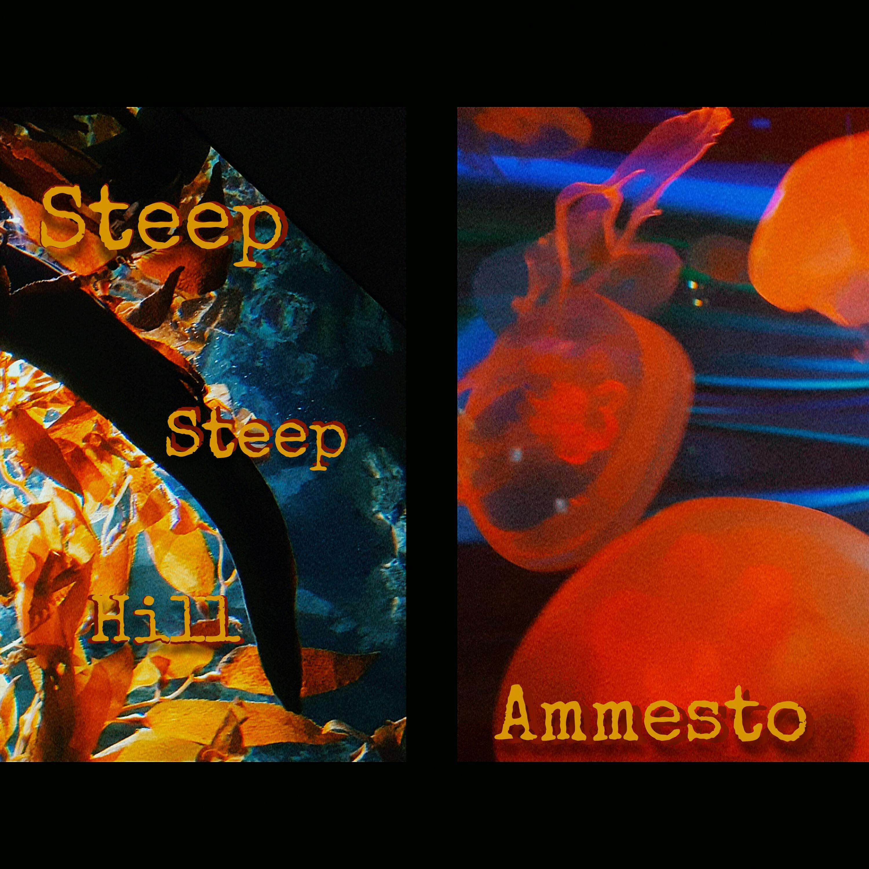 Ammesto
