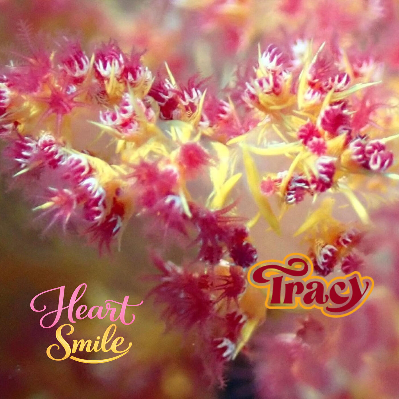 Релиз Heart Smile