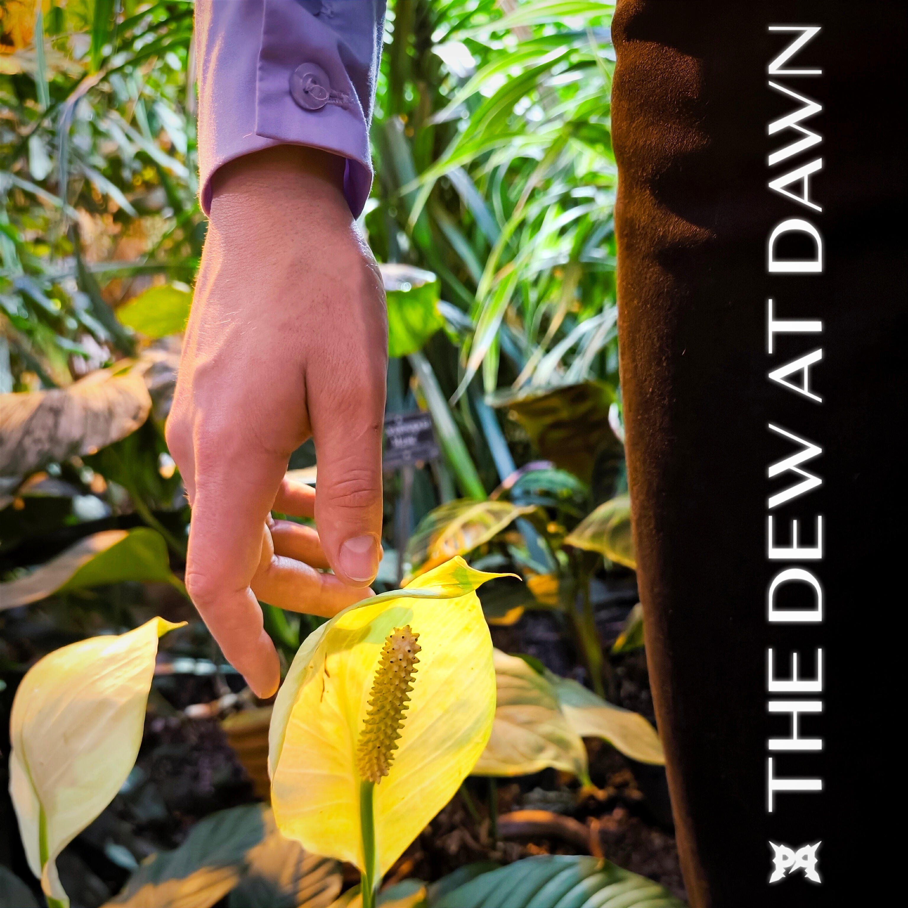 Релиз The Dew at Dawn