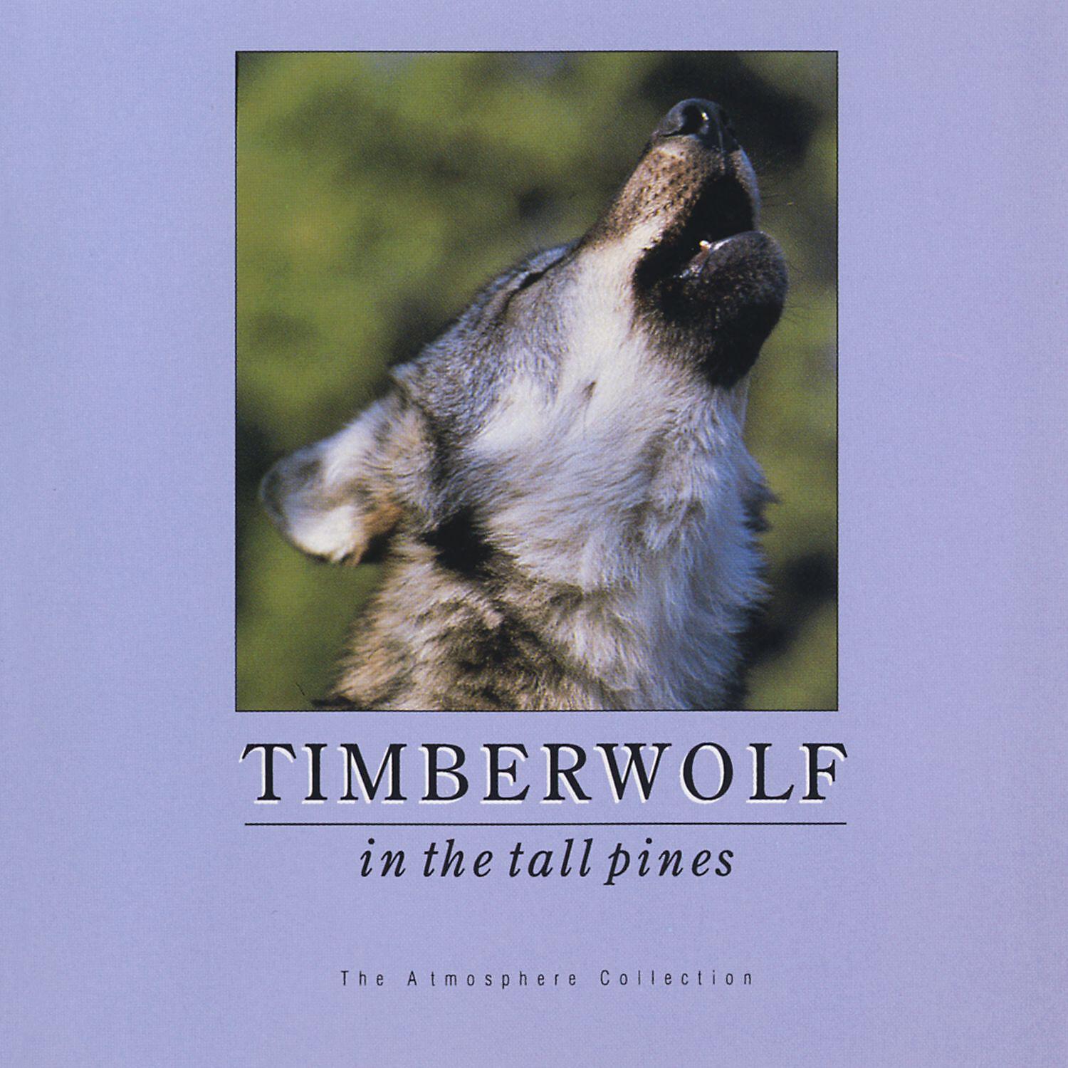Релиз Timberwolf In Tall Pines