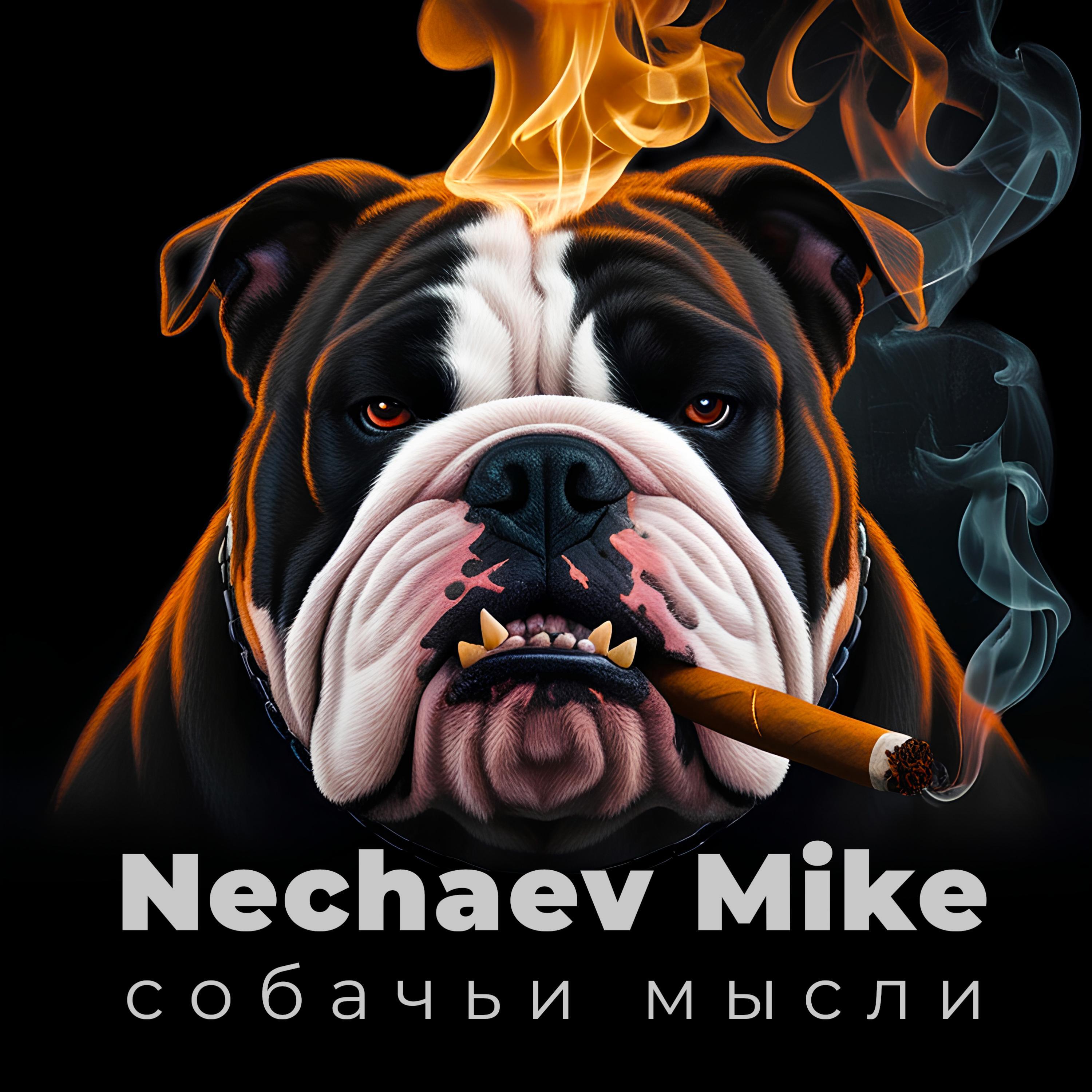 Релиз Nechaev Mike