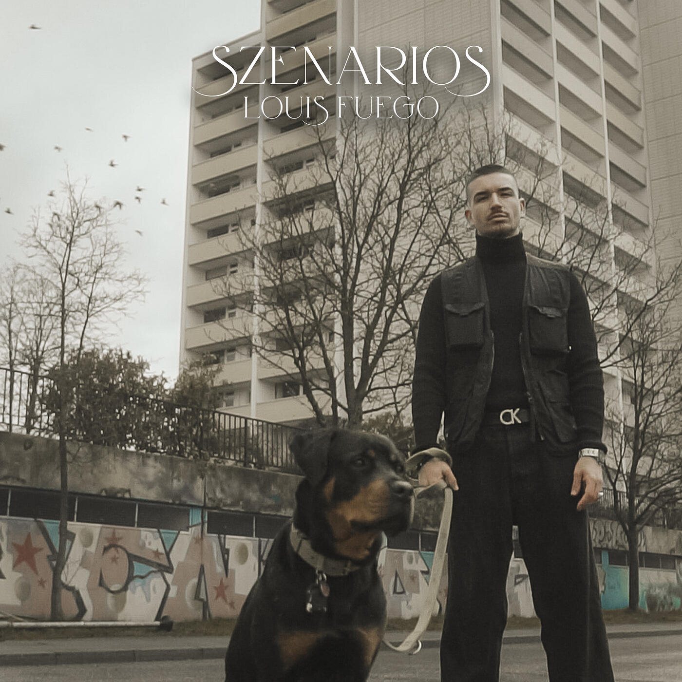 Релиз Szenarios