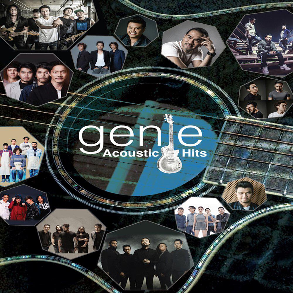 Релиз genie Acoustic Hits