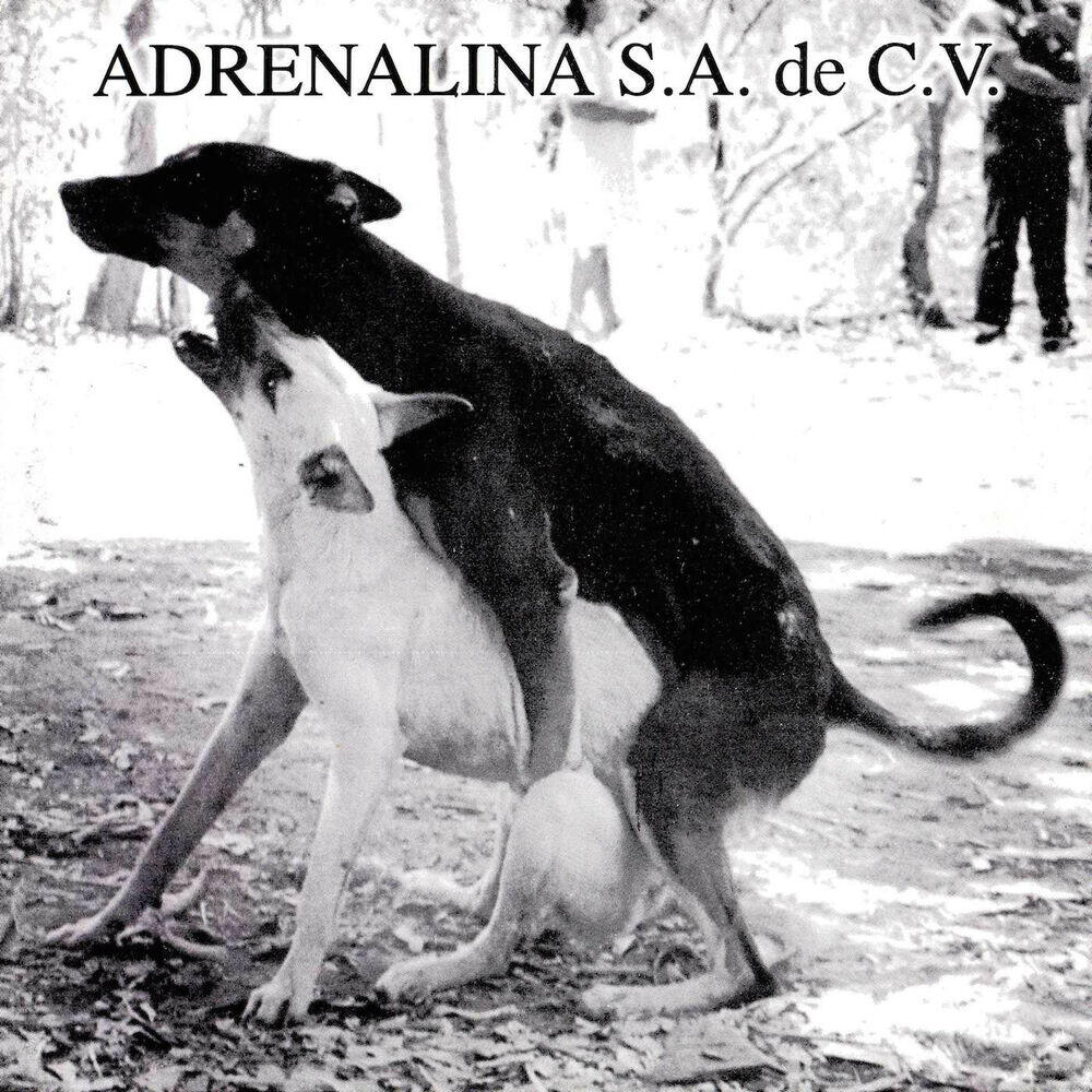Релиз S.A. De C.V.