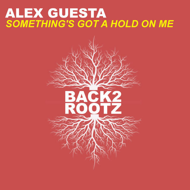 Релиз Something's got a hold on me (Vip Mix)
