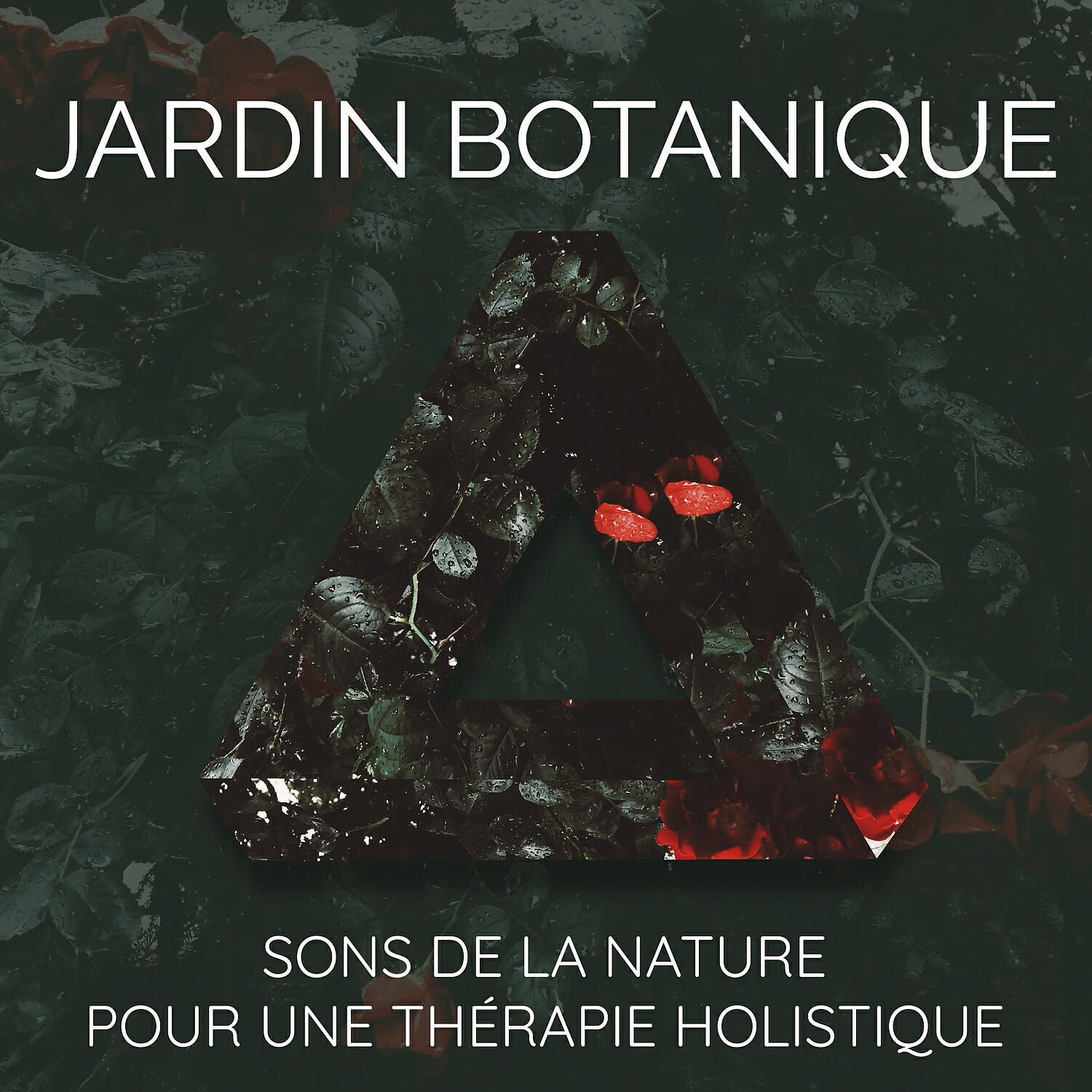 Релиз Jardin botanique: Sons de la nature pour une thérapie holistique