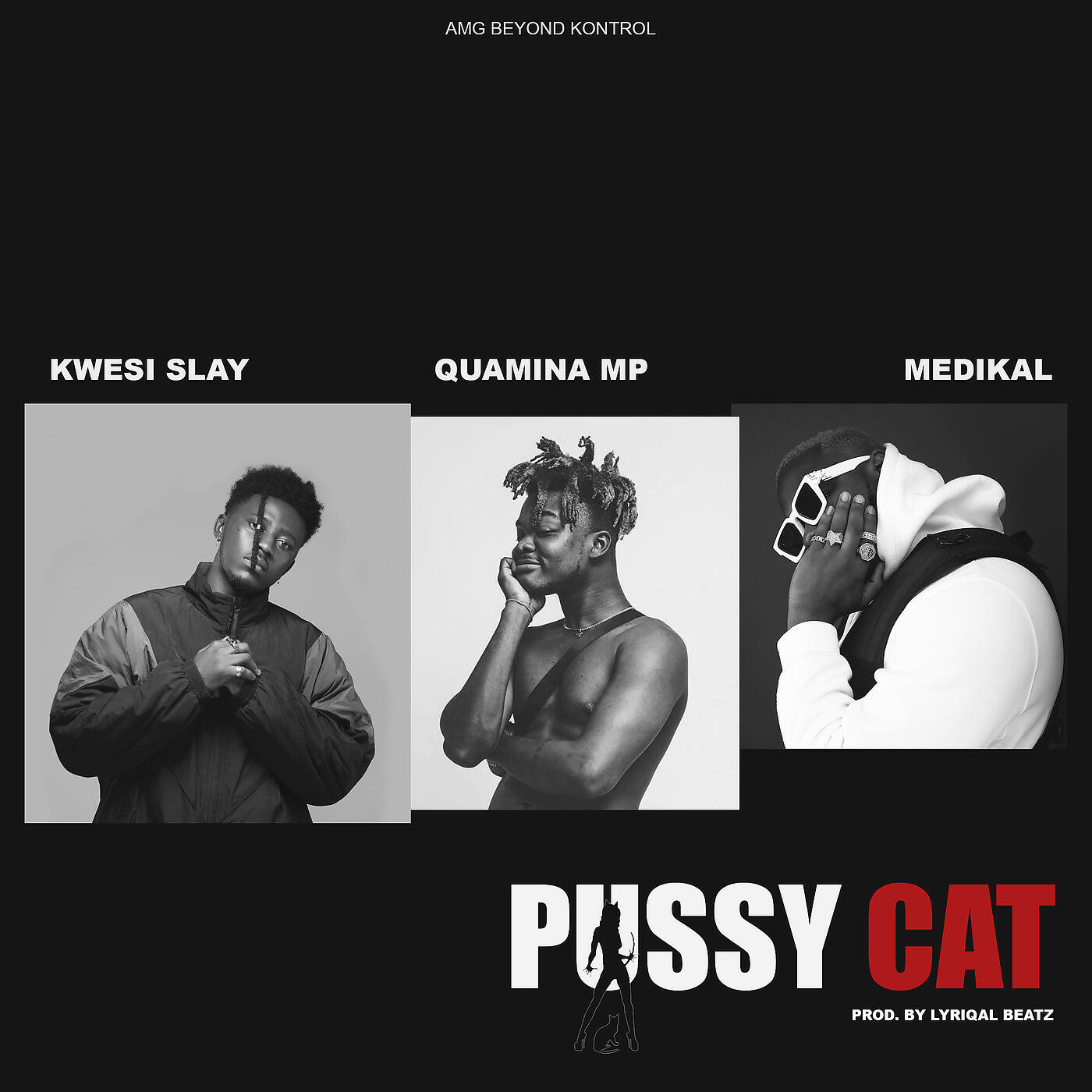 Релиз Pussy Cat