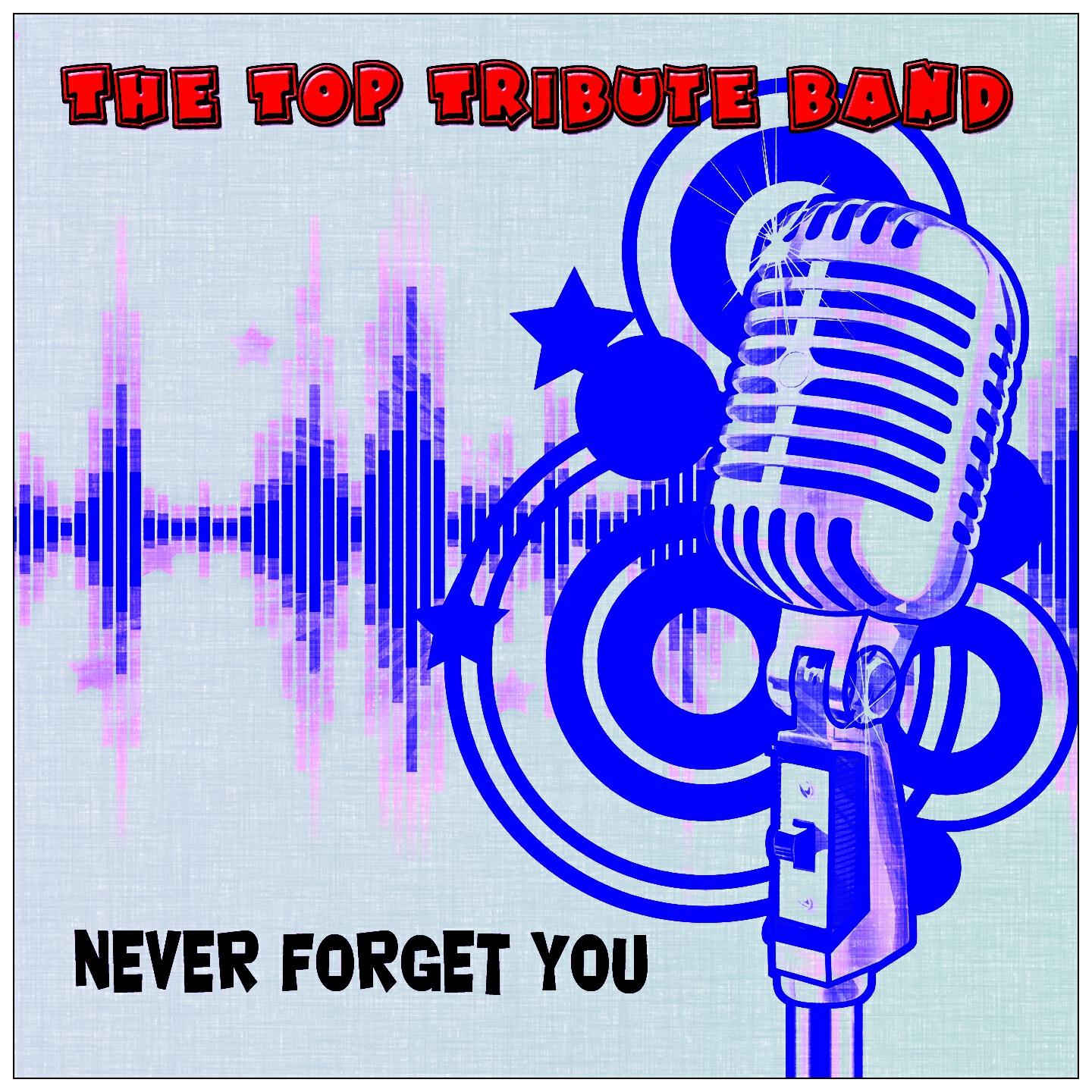 Релиз Never Forget You