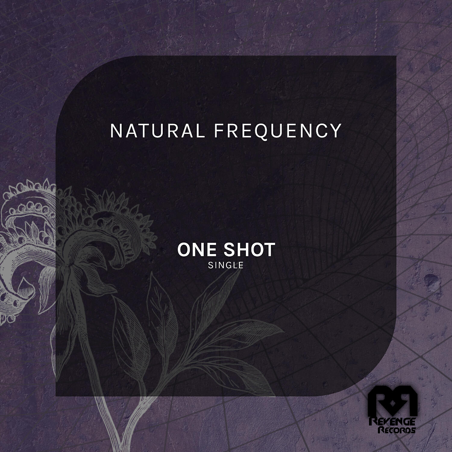 Natural Frequency