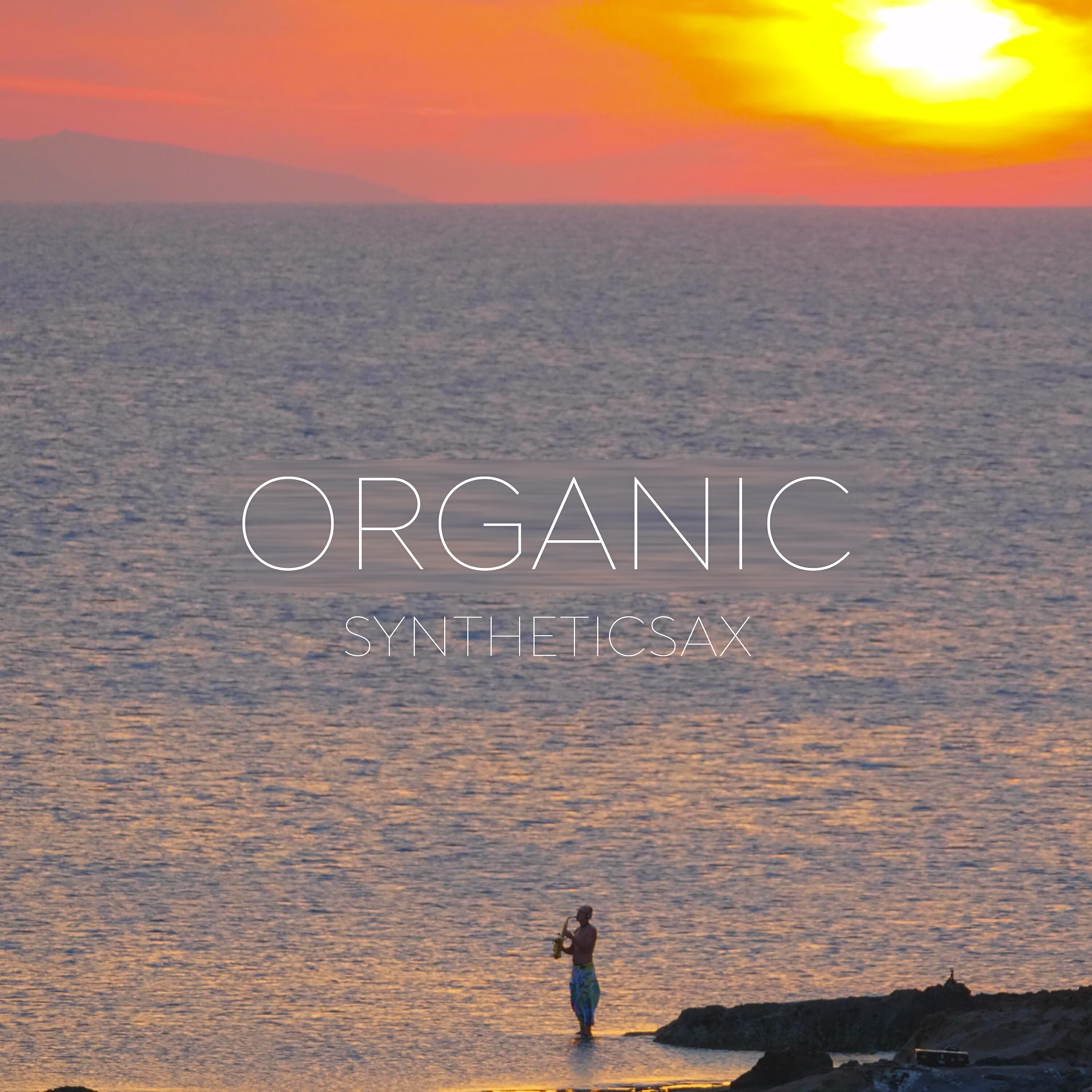 Постер альбома Organic