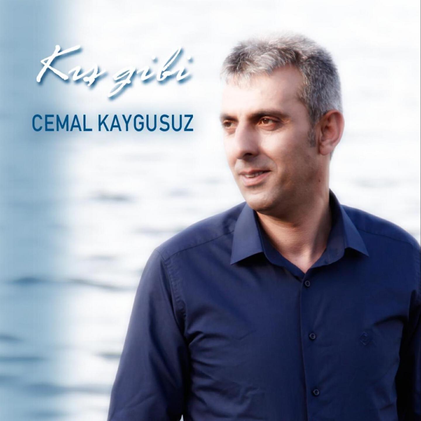 Релиз Kış Gibi