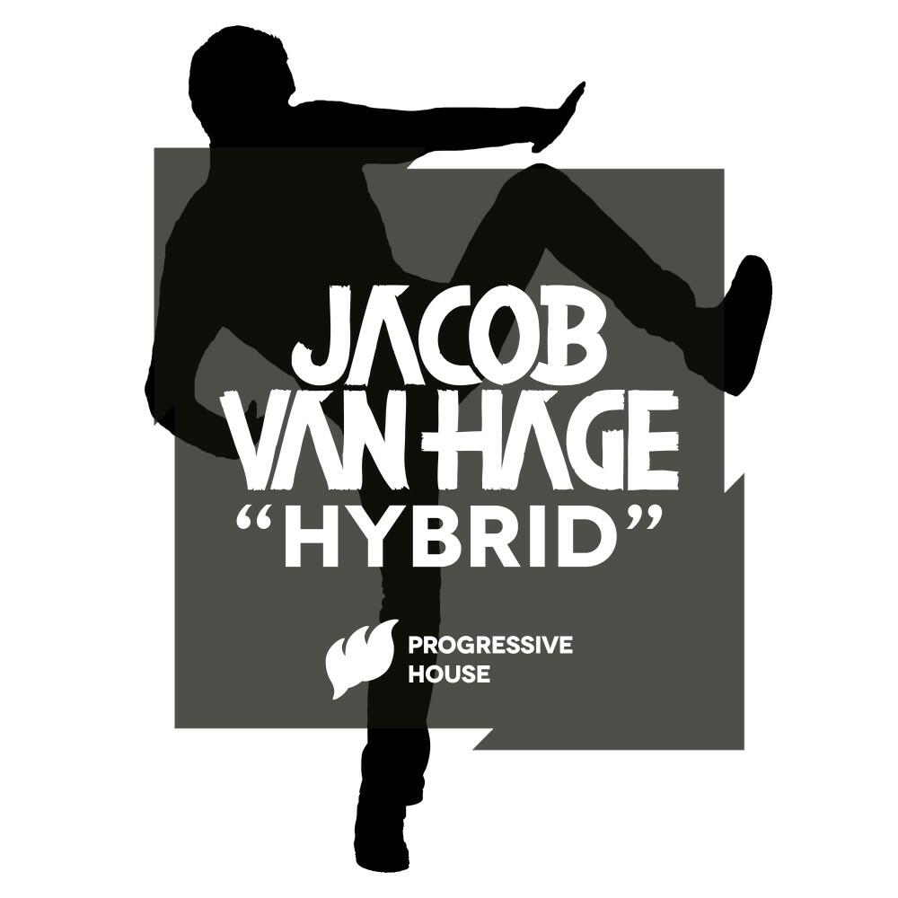 Релиз Hybrid
