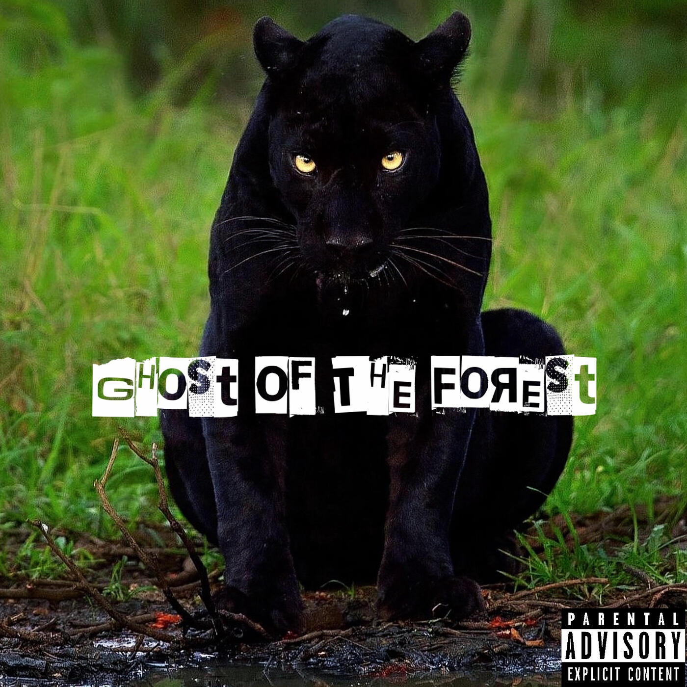 Релиз The Ghost of the Forest